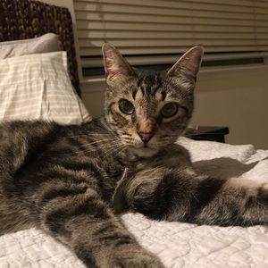 Meet your Posher, Rana